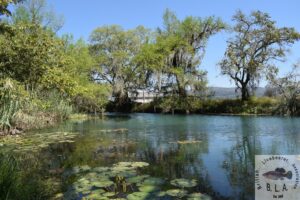 Rio Tamasopo