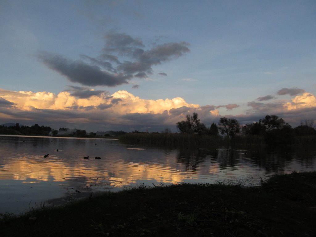 Lake Zacapu