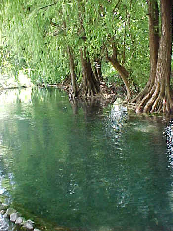 Presa de Cutzarondiro, Photo by Ivan Dibble