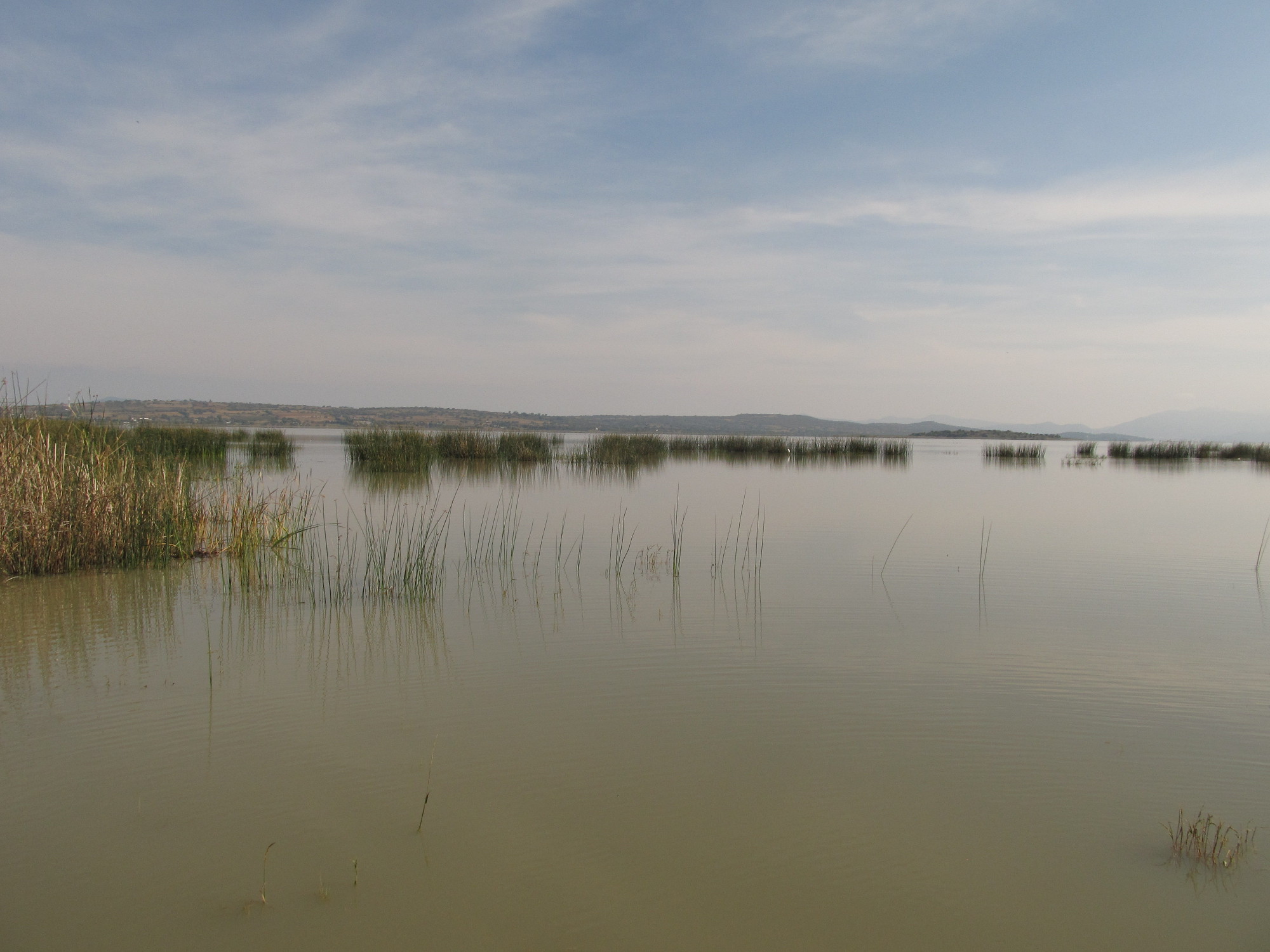 Laguna Cuitzeo, Michoacan,