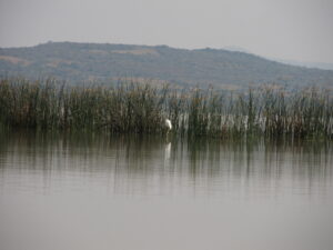 Laguna Cuitzeo, Michoacan,