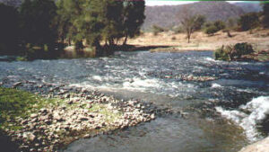 Rio Ayuquila, Jalisco. Photo By Ivan Dibble