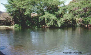 Rio Teuchitlan,