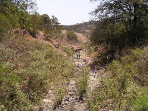 rroyo Diabolos, Jalisco. Photo by Ivan Dibble 2000