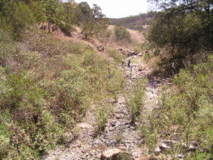 Arroyo Diabolos, Jalisco. Photo by Ivan Dibble 2000