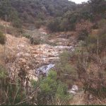 Arroyo Diabolos, Jalisco. Photo by Ivan Dibble 2000