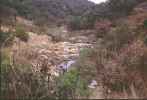 Arroyo Diabolos, Jalisco. Photo by Ivan Dibble 2000