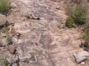 Arroyo Diabolos, Jalisco. Photo by Ivan Dibble 2000