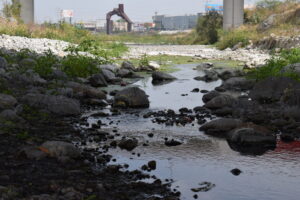 River in Central Monterry. Photo By Paddy Davies