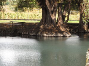 Lago de Camécuaro, Photo By E. Radax