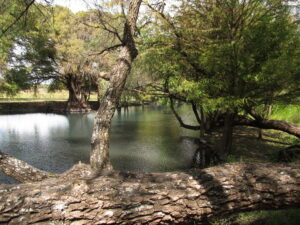 Lago de Camécuaro, Photo By E. Radax