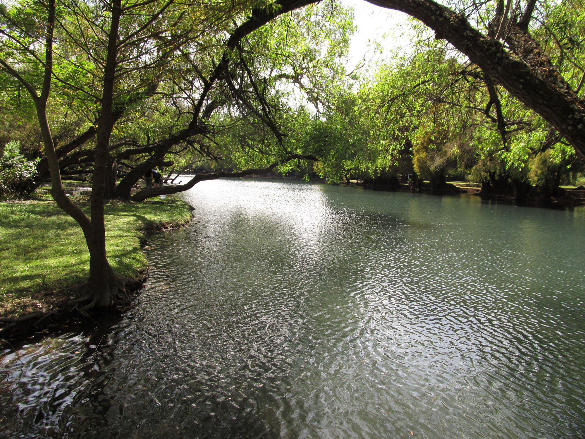 Lago de Camécuaro, Photo By E. Radax