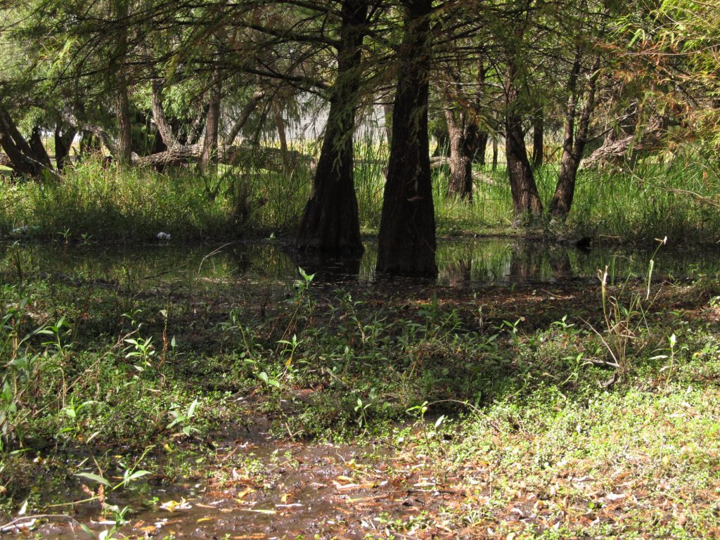 Lago de Camécuaro, Photo By E. Radax