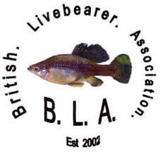 British Livebearer Association - Home | Facebook