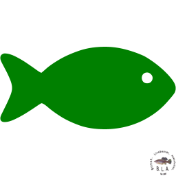 This image has an empty alt attribute; its file name is fish-8-xxl.png